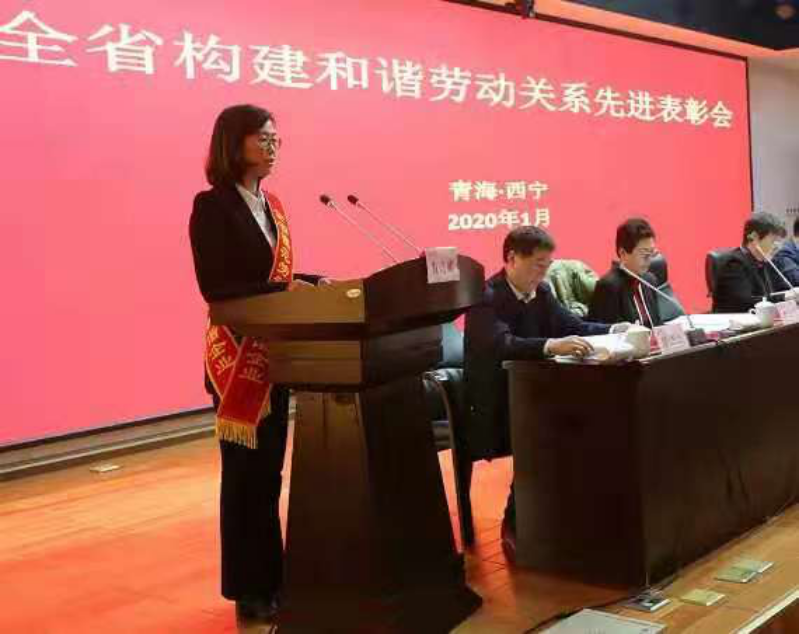 九州(中国)-九州(中国)荣获全省模范劳动关系和谐企业荣誉称号
