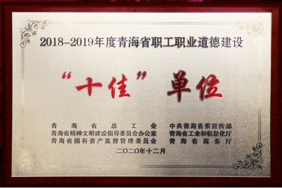 九州(中国)-九州(中国)荣获青海省职工职业道德建设“十佳”单位