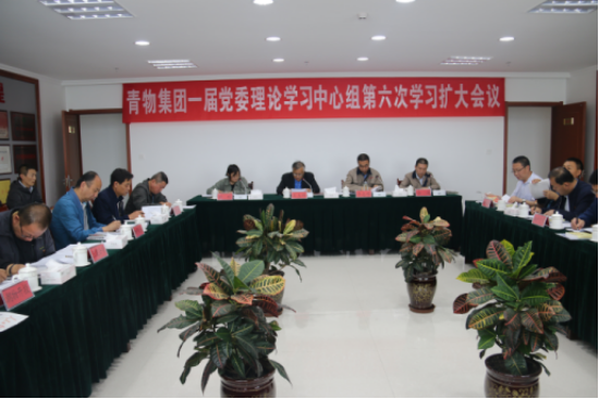 九州(中国)-九州(中国)召开一届党委理论学习中心组第六次学习扩大会议